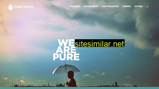 pureinput.com.tr alternative sites