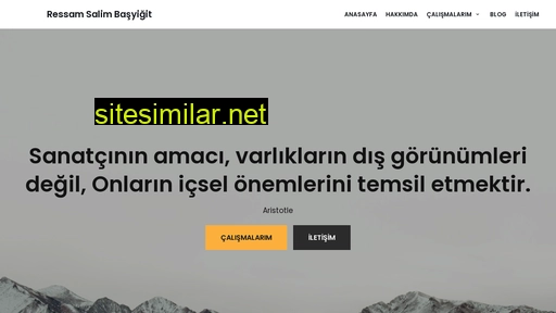 salimbasyigit.com.tr alternative sites