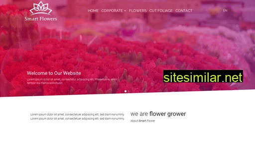 Smartflowers similar sites