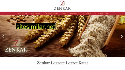 zenkargida.com.tr alternative sites