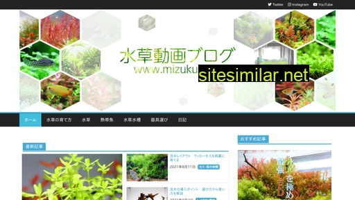 mizukusa.tv alternative sites