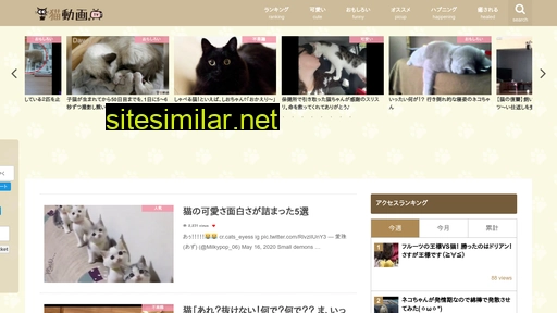 猫動画.tv alternative sites