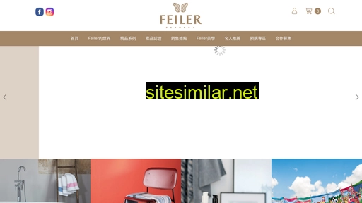 feiler.com.tw alternative sites