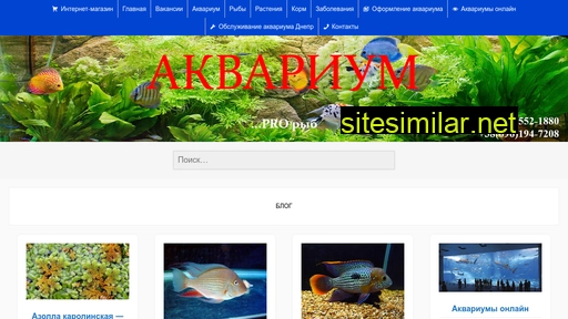 akvarium.dp.ua alternative sites