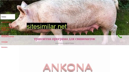 ankona.com.ua alternative sites
