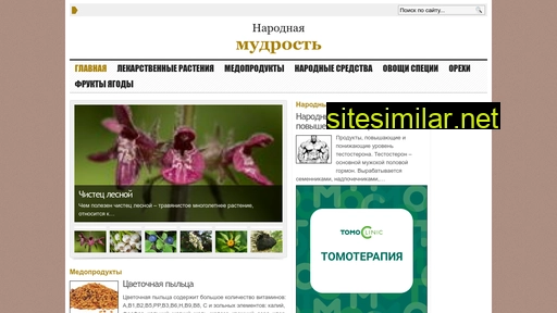 bereginya.com.ua alternative sites