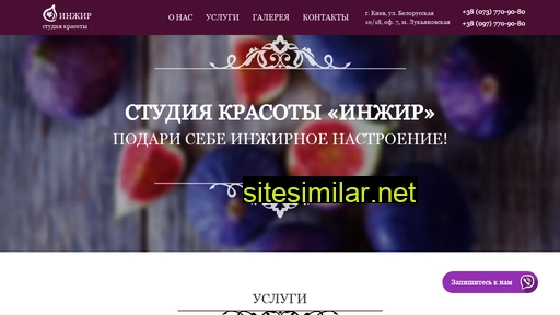 ingir.kiev.ua alternative sites