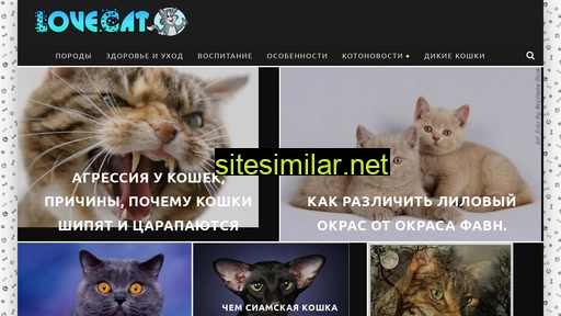 Lovecat similar sites