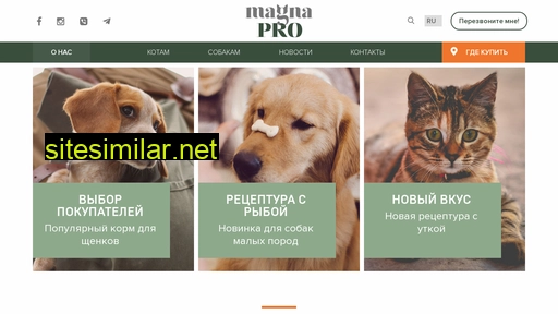 magnapro.com.ua alternative sites