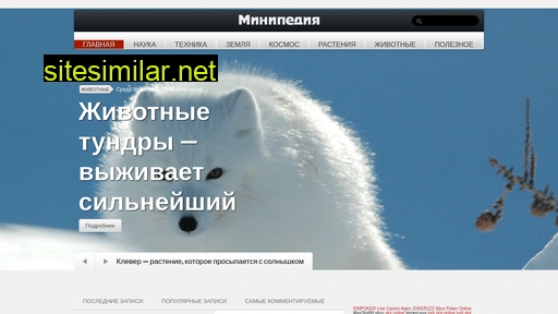 minipedia.org.ua alternative sites