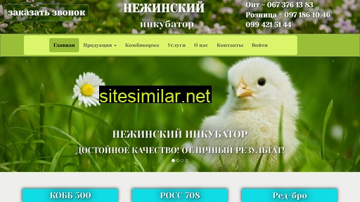 nezhin-inkybator.com.ua alternative sites