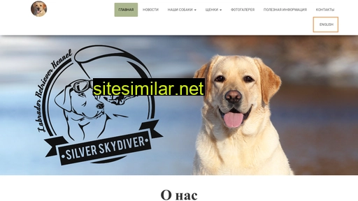 silverskydiver.com.ua alternative sites