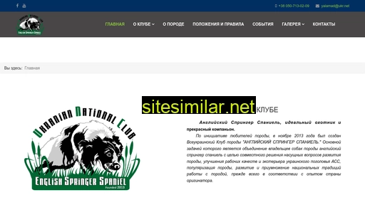 springer-spaniel.com.ua alternative sites