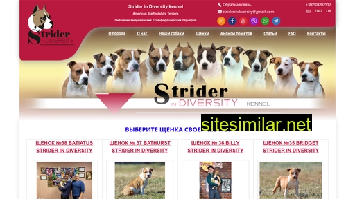 strider.com.ua alternative sites