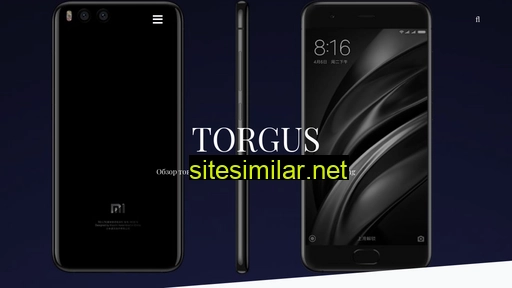 torgus.com.ua alternative sites