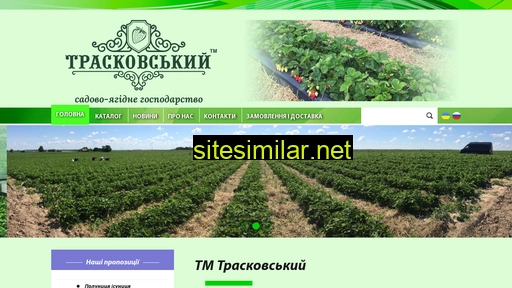 traskovskyi.com.ua alternative sites