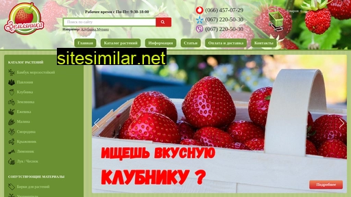 zemlyanika.com.ua alternative sites