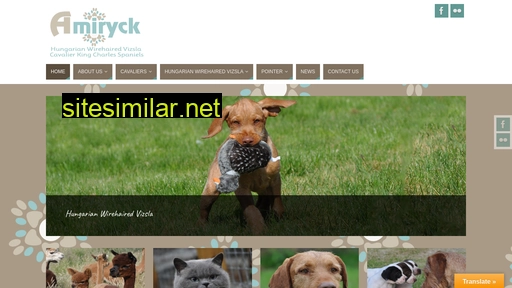 amiryck.co.uk alternative sites
