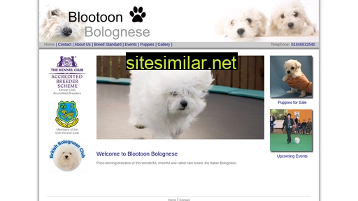 blootoonbolognese.co.uk alternative sites