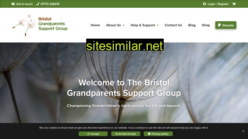 bristolgrandparentssupportgroup.co.uk alternative sites