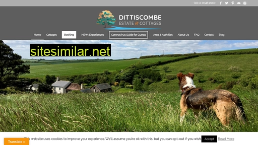 dittiscombe.co.uk alternative sites