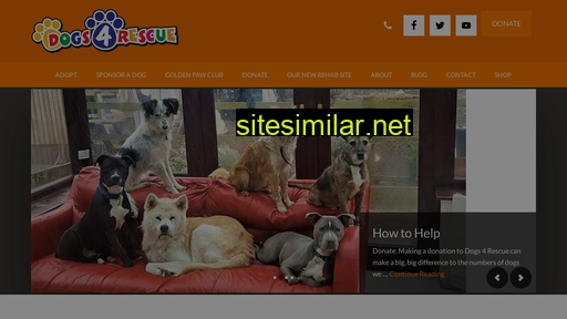 dogs4rescue.co.uk alternative sites