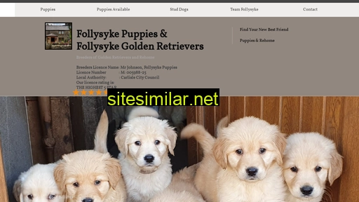 follysykepuppies.co.uk alternative sites