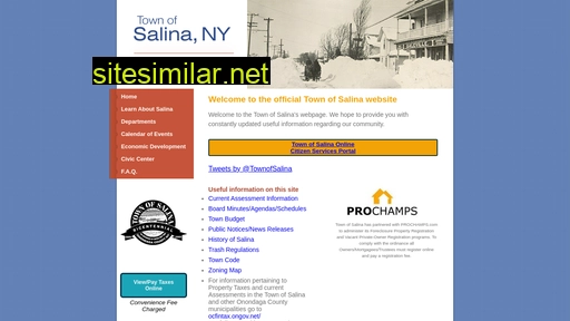 salina.ny.us alternative sites
