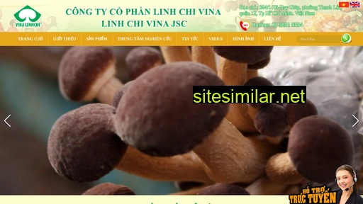 linhchivina.com.vn alternative sites