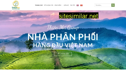 thienmagroup.vn alternative sites