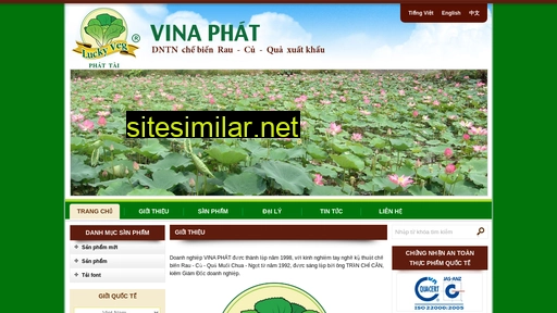vinaphat.com.vn alternative sites