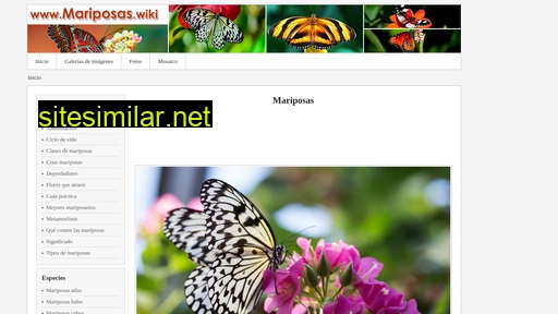 Mariposas similar sites