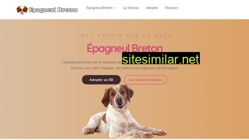 epagneul-breton.ws alternative sites
