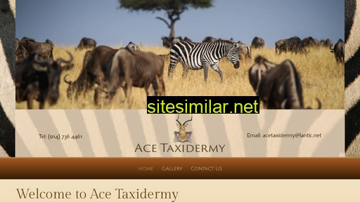acetaxidermy.co.za alternative sites