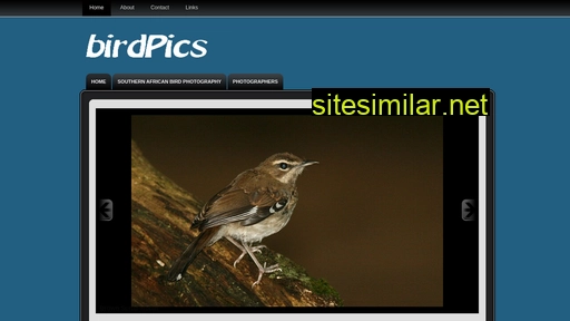 birdpics.co.za alternative sites