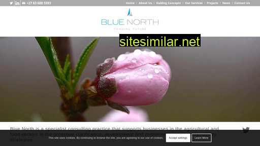 bluenorth.co.za alternative sites