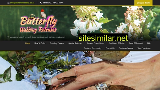butterflywedding.co.za alternative sites