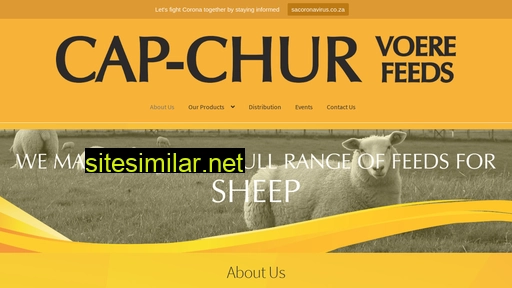 Capchur similar sites