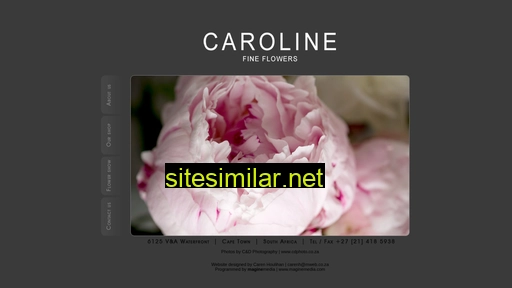 carolinefineflowers.co.za alternative sites