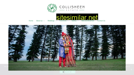 collisheen.co.za alternative sites