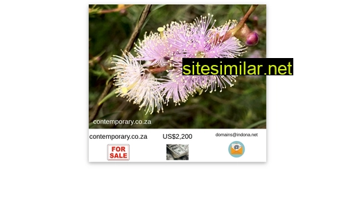 contemporary.co.za alternative sites