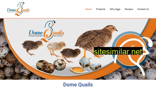domequails.co.za alternative sites