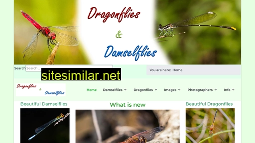 dragonflies.co.za alternative sites