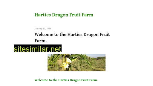 Dragonfruits similar sites
