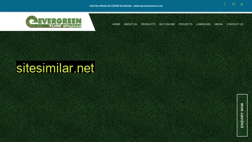 evergreenturf.co.za alternative sites