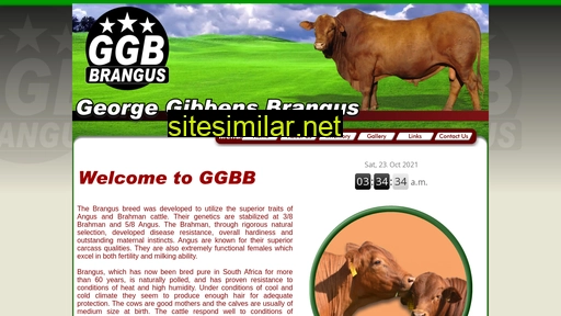 ggbb.co.za alternative sites