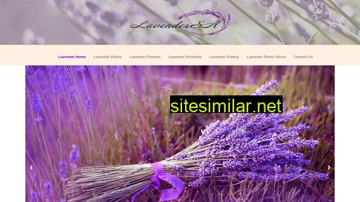 lavendersa.co.za alternative sites