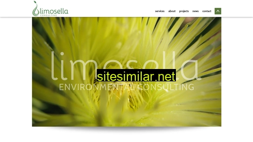 Limosella similar sites
