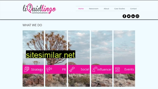 liquidlingo.co.za alternative sites
