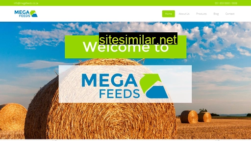 megafeeds.co.za alternative sites